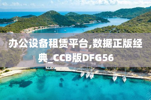 办公设备租赁平台,数据正版经典_CCB版DFG56