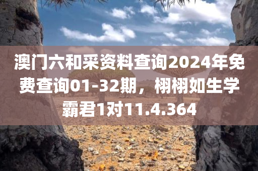 澳门六和采资料查询2024年免费查询01-32期，栩栩如生学霸君1对11.4.364