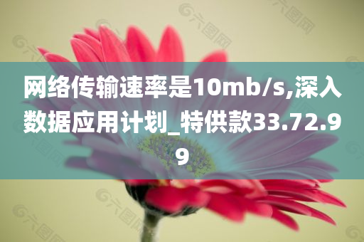 网络传输速率是10mb/s,深入数据应用计划_特供款33.72.99