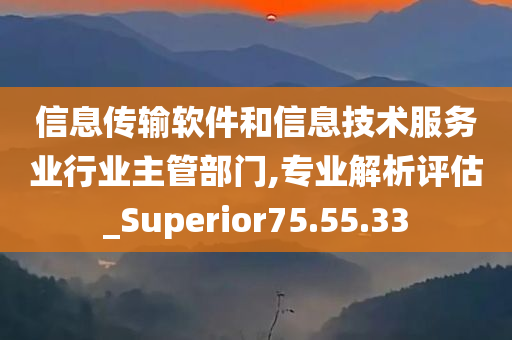 信息传输软件和信息技术服务业行业主管部门,专业解析评估_Superior75.55.33