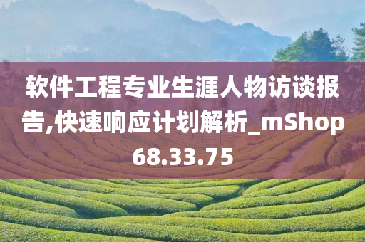 软件工程专业生涯人物访谈报告,快速响应计划解析_mShop68.33.75