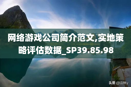 网络游戏公司简介范文,实地策略评估数据_SP39.85.98