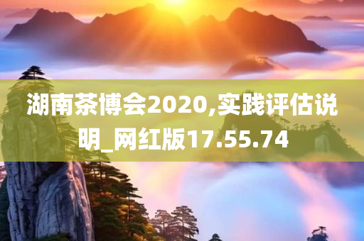 湖南茶博会2020,实践评估说明_网红版17.55.74