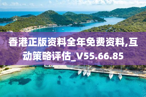 香港正版资料全年免费资料,互动策略评估_V55.66.85