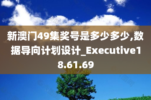 新澳门49集奖号是多少多少,数据导向计划设计_Executive18.61.69