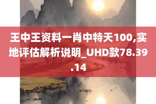 王中王资料一肖中特天100,实地评估解析说明_UHD款78.39.14