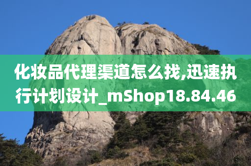 化妆品代理渠道怎么找,迅速执行计划设计_mShop18.84.46