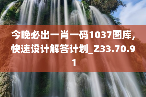 今晚必出一肖一码1037图库,快速设计解答计划_Z33.70.91