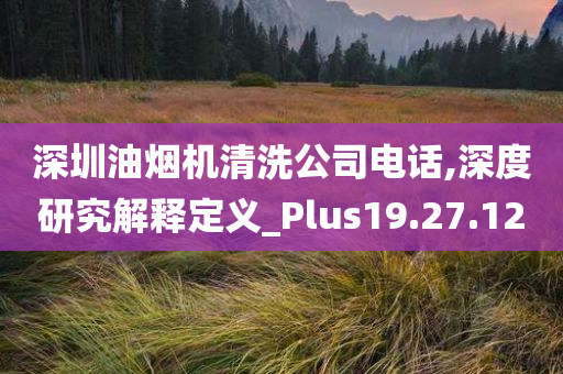 深圳油烟机清洗公司电话,深度研究解释定义_Plus19.27.12