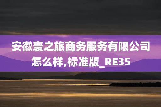 安徽寰之旅商务服务有限公司怎么样,标准版_RE35