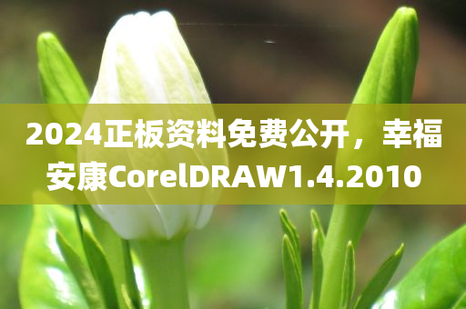 2024正板资料免费公开，幸福安康CorelDRAW1.4.2010