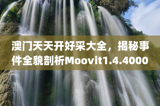 澳门天天开好采大全，揭秘事件全貌剖析Moovit1.4.4000