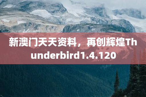 新澳门天天资料，再创辉煌Thunderbird1.4.120