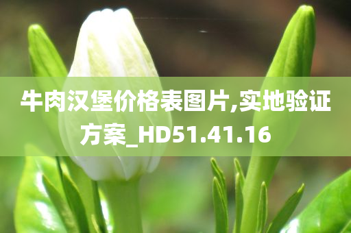 牛肉汉堡价格表图片,实地验证方案_HD51.41.16