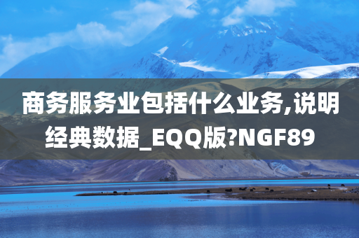 商务服务业包括什么业务,说明经典数据_EQQ版?NGF89