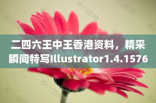 二四六王中王香港资料，精采瞬间特写Illustrator1.4.1576