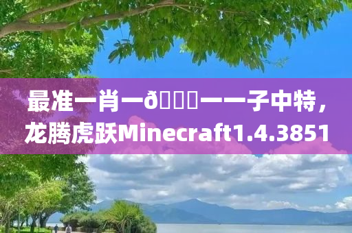 最准一肖一🐎一一子中特，龙腾虎跃Minecraft1.4.3851