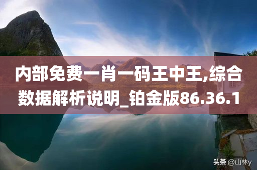 内部免费一肖一码王中王,综合数据解析说明_铂金版86.36.10