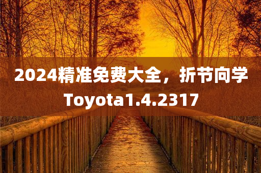 2024精准免费大全，折节向学Toyota1.4.2317