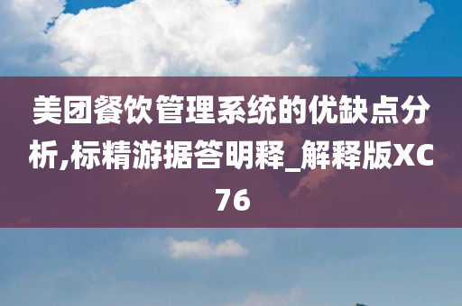 美团餐饮管理系统的优缺点分析,标精游据答明释_解释版XC76