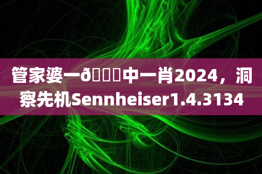 管家婆一🐎中一肖2024，洞察先机Sennheiser1.4.3134