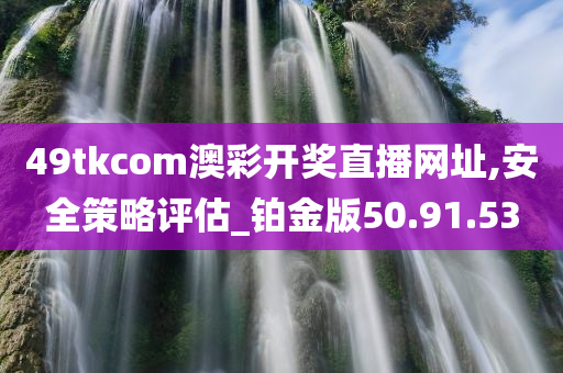 49tkcom澳彩开奖直播网址,安全策略评估_铂金版50.91.53