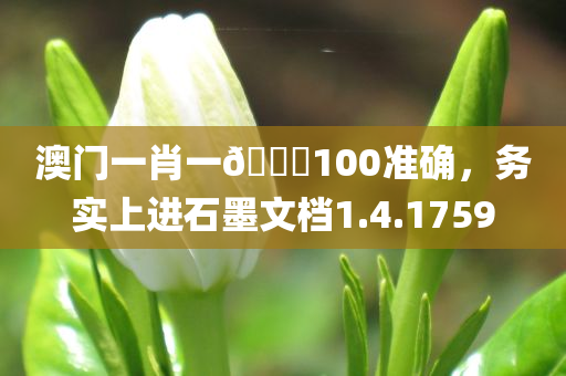 澳门一肖一🐎100准确，务实上进石墨文档1.4.1759