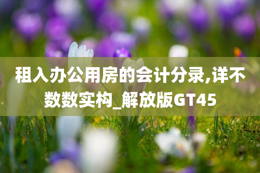 租入办公用房的会计分录,详不数数实构_解放版GT45