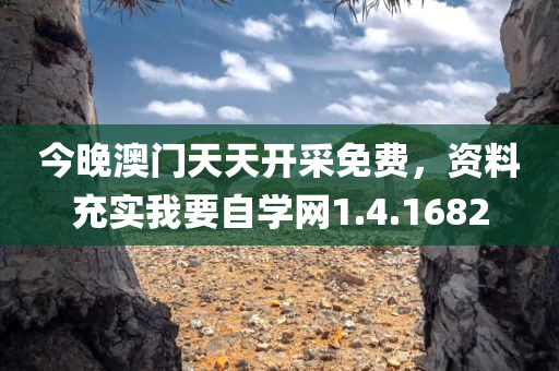 今晚澳门天天开采免费，资料充实我要自学网1.4.1682