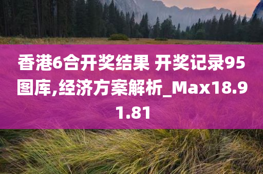 香港6合开奖结果 开奖记录95图库,经济方案解析_Max18.91.81