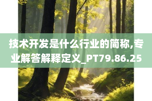 技术开发是什么行业的简称,专业解答解释定义_PT79.86.25