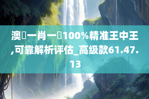 澳門一肖一碼100%精准王中王,可靠解析评估_高级款61.47.13