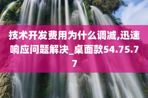 技术开发费用为什么调减,迅速响应问题解决_桌面款54.75.77