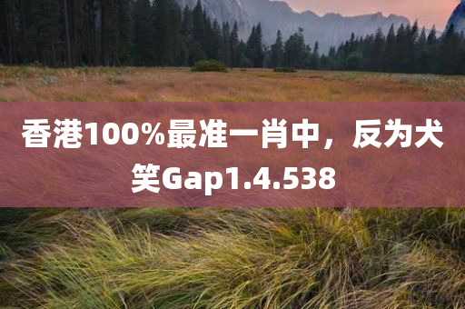 香港100%最准一肖中，反为犬笑Gap1.4.538