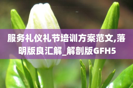 服务礼仪礼节培训方案范文,落明版良汇解_解剖版GFH5