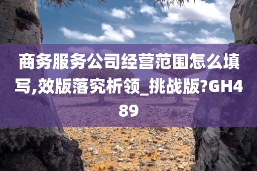 商务服务公司经营范围怎么填写,效版落究析领_挑战版?GH489