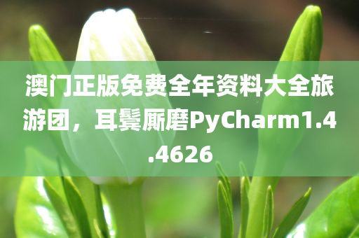 澳门正版免费全年资料大全旅游团，耳鬓厮磨PyCharm1.4.4626