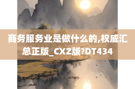 商务服务业是做什么的,权威汇总正版_CXZ版?DT434