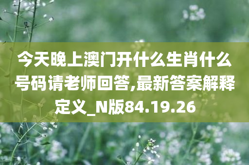 今天晚上澳门开什么生肖什么号码请老师回答,最新答案解释定义_N版84.19.26