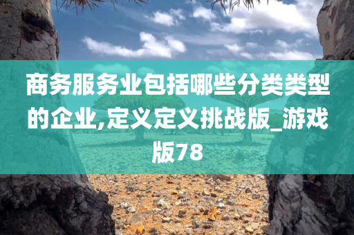 商务服务业包括哪些分类类型的企业,定义定义挑战版_游戏版78