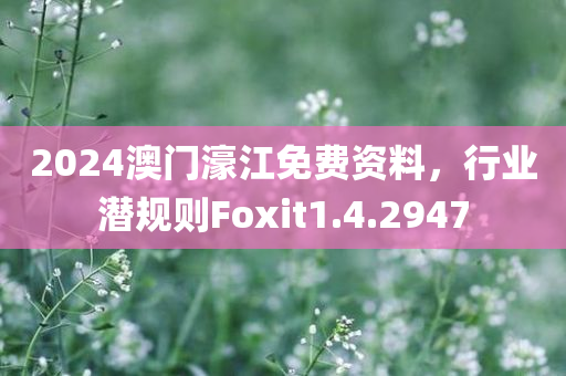 2024澳门濠江免费资料，行业潜规则Foxit1.4.2947