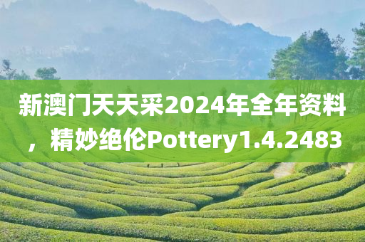 新澳门天天采2024年全年资料，精妙绝伦Pottery1.4.2483