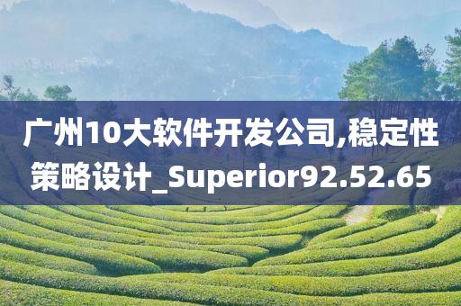 广州10大软件开发公司,稳定性策略设计_Superior92.52.65