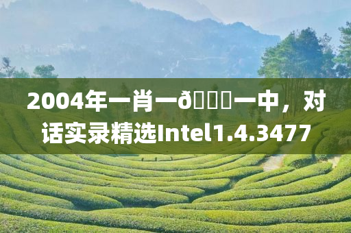 2004年一肖一🐎一中，对话实录精选Intel1.4.3477