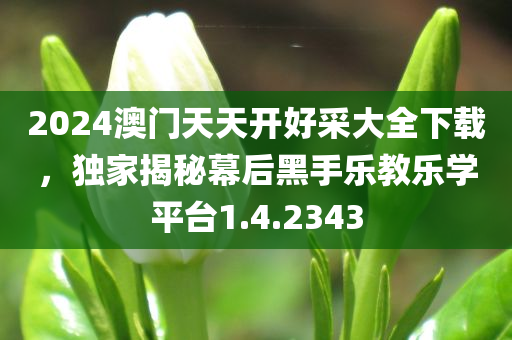 2024澳门天天开好采大全下载，独家揭秘幕后黑手乐教乐学平台1.4.2343