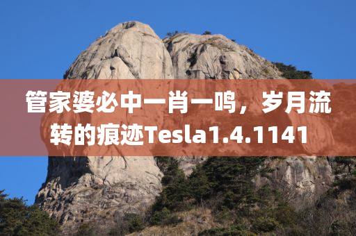 管家婆必中一肖一鸣，岁月流转的痕迹Tesla1.4.1141