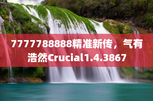 7777788888精准新传，气有浩然Crucial1.4.3867