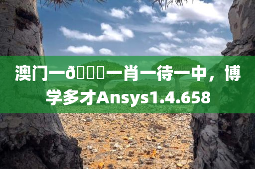 澳门一🐎一肖一待一中，博学多才Ansys1.4.658