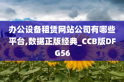 办公设备租赁网站公司有哪些平台,数据正版经典_CCB版DFG56