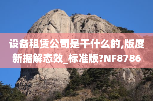 设备租赁公司是干什么的,版度新据解态效_标准版?NF8786